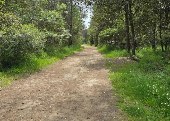 Tranquillo A 300m Dal Mare * Lido di Dante