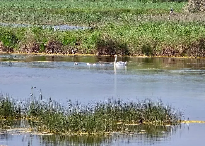 Tranquillo A 300m Dal Mare * Lido di Dante