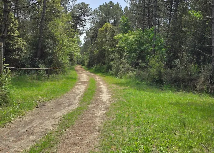 Tranquillo A 300m Dal Mare Apartman *